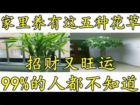 家裡可以種榕樹嗎|【家裡可以種榕樹嗎】家裡可以種榕樹嗎？風水禁忌大公開！讓榕。